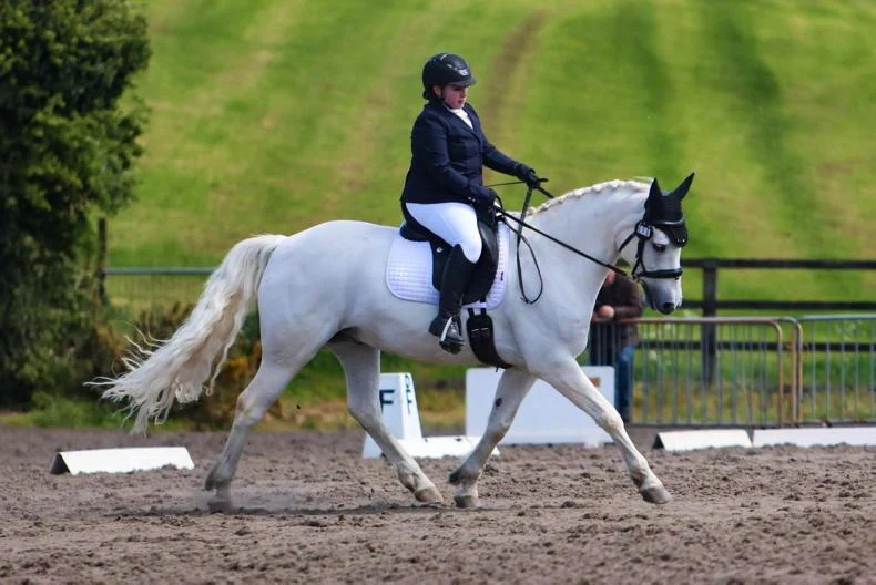 Amy Clarke and Rachra Supreme scored 63.45 in the DI Novice N21 at Danescroft