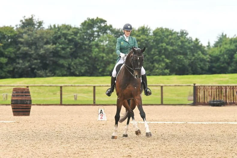 Carolyn Mellor and VSH Gouverneur M at Ballindenisk