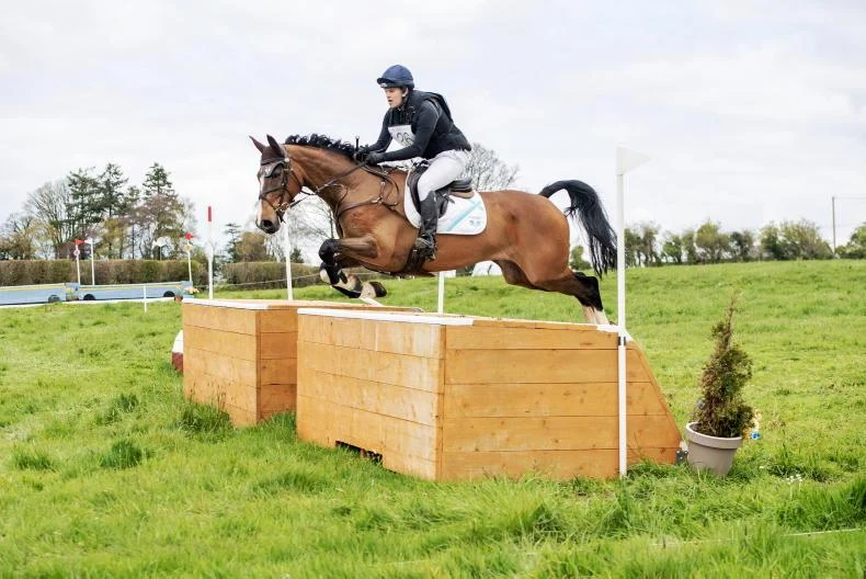 John Tilley on his way to winning the EI110 (Open) with Licence to Cooley at Hillcrest
